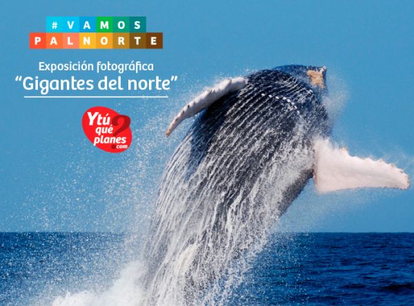 Miniferia Promperu con Exhibición fotográfica de ballenas - Plaza Norte