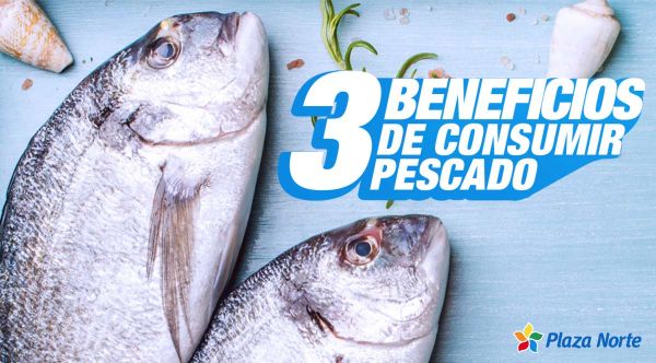 3 beneficios de consumir pescado que potencian la salud - Plaza Norte