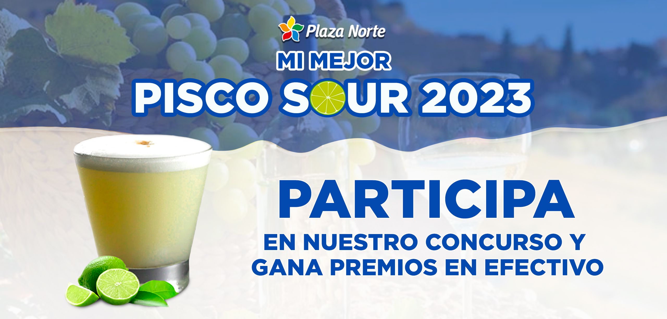CONCURSO: MI MEJOR PISCO SOUR 2023 - Plaza Norte