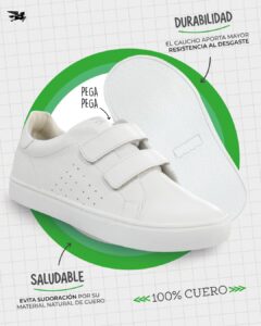 Calimod
