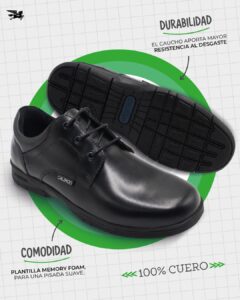 Calimod